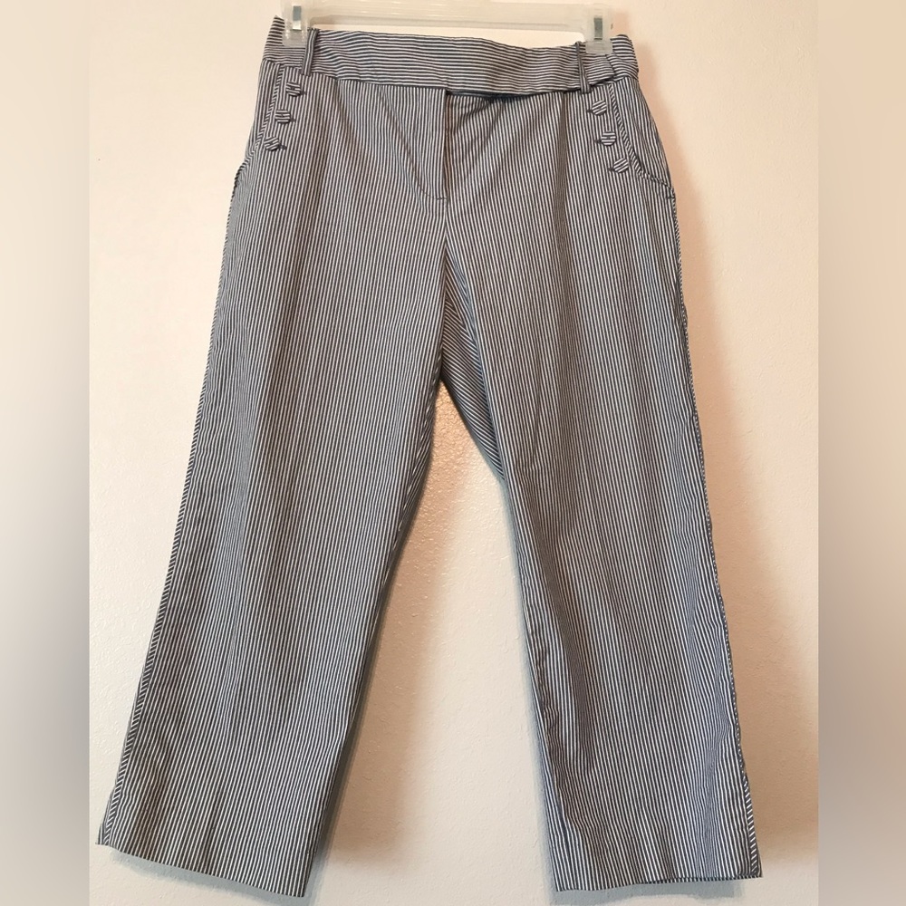 Talbots Blue & White Stripe Cropped Pants size 6 w/ Fabric Covered Buttons Cute!